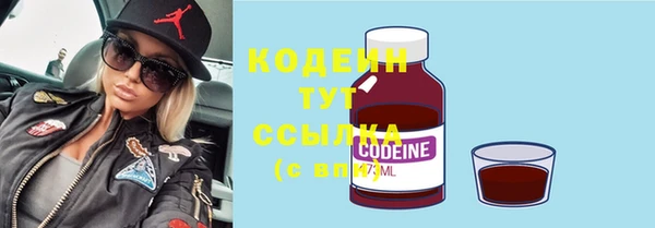 ГАЛЛЮЦИНОГЕННЫЕ ГРИБЫ Арсеньев