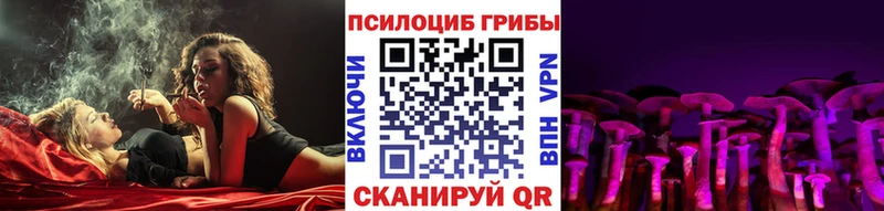 Псилоцибиновые грибы мухоморы  blacksprut вход  Новокубанск  хочу наркоту 